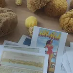 Nicuzza Apartament