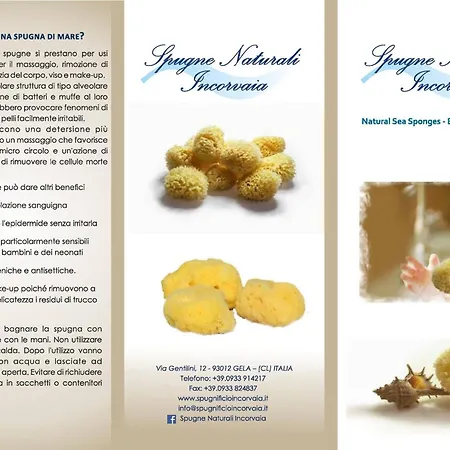 Nicuzza * Gela